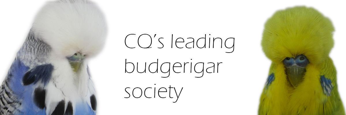 capbuds's profile banner image