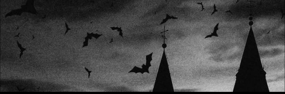 gdenezlee's profile banner image