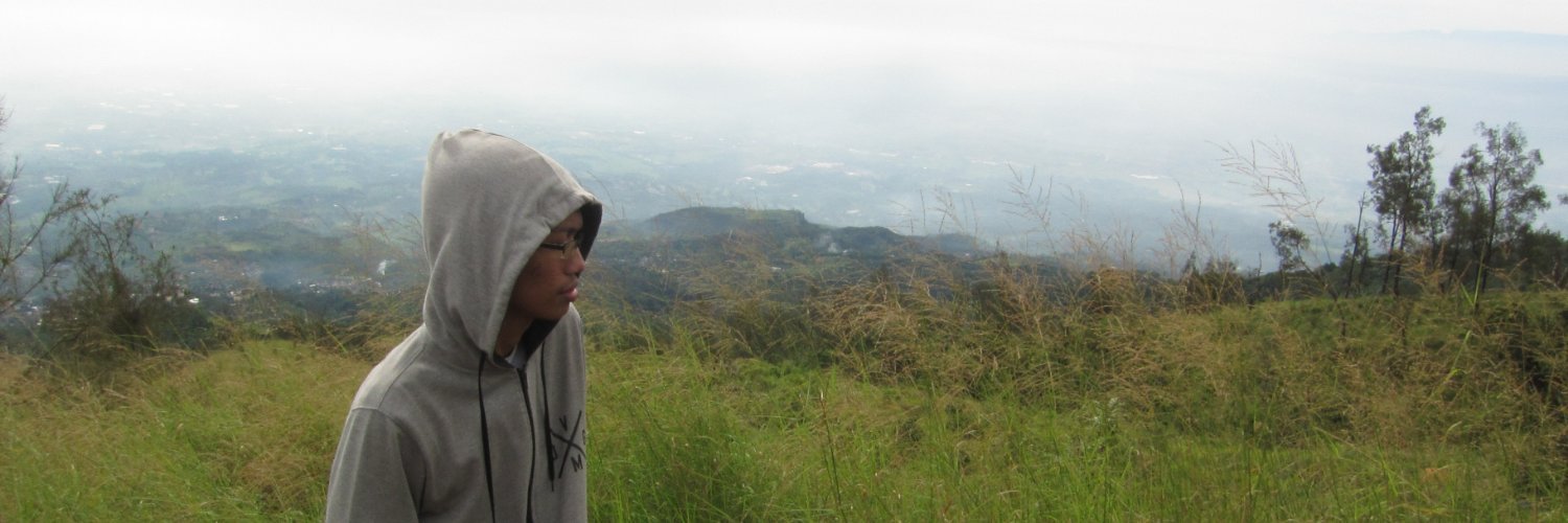 masdonicom's profile banner image