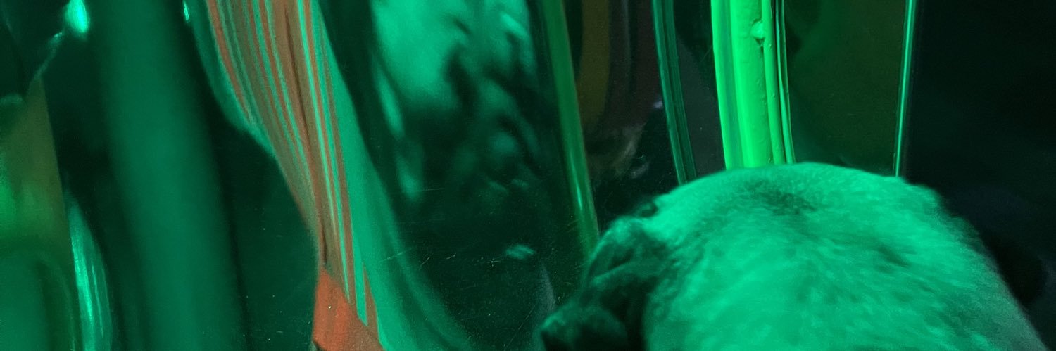 __calamarie's profile banner image