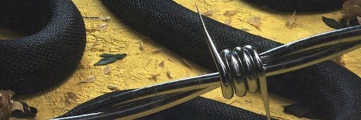 HectorMartin_ap's profile banner image