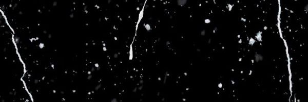 MF banner