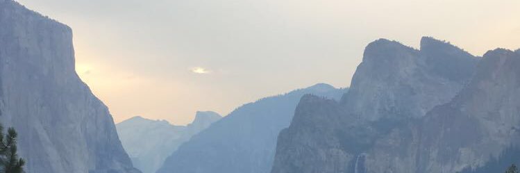 Rosssbossss's profile banner image