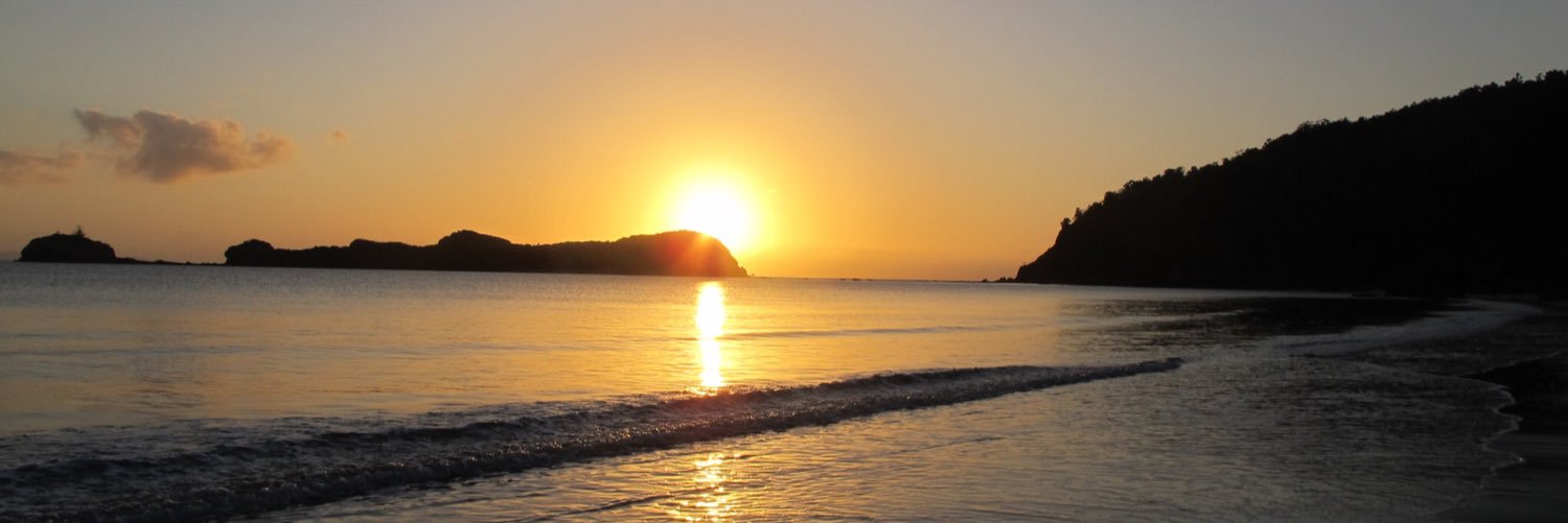 DBrooke_Ann's profile banner image
