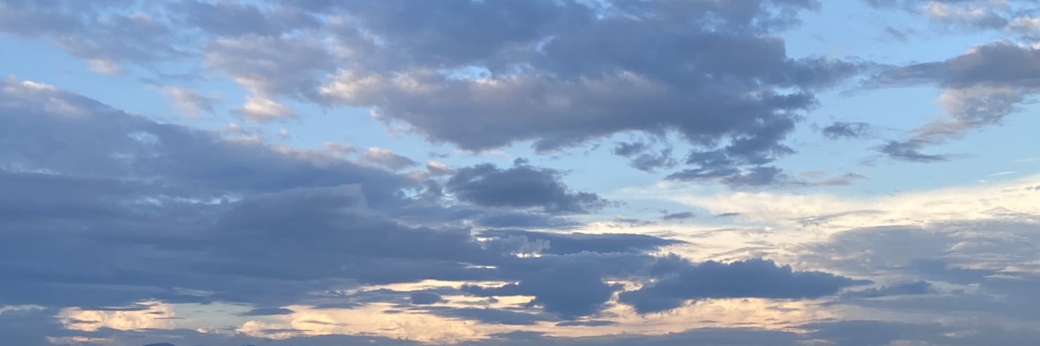 Eri Sasaki : 佐々木恵梨 banner