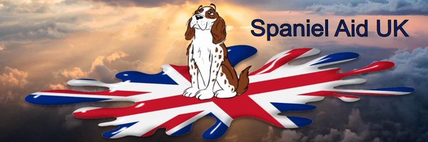 Spaniel Aid UK Profile Banner