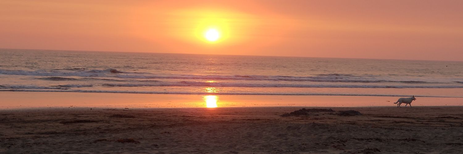 Heaven4114's profile banner image