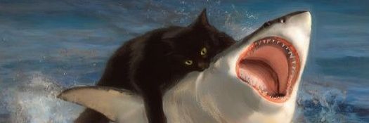 0xhrdk banner