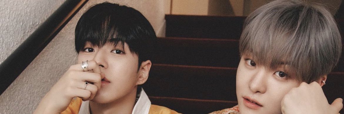 adiantum_12's profile banner image