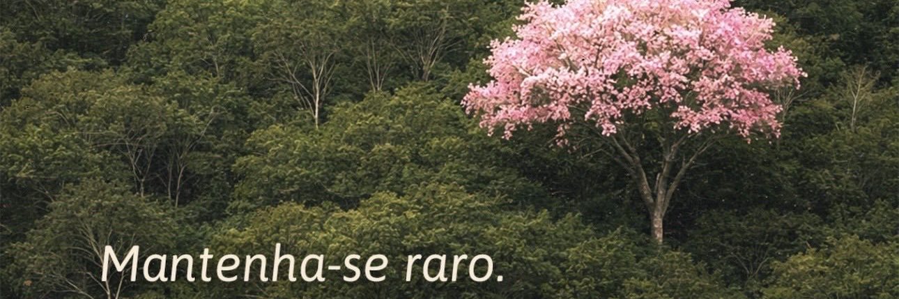 GabeCittadellaa's profile banner image