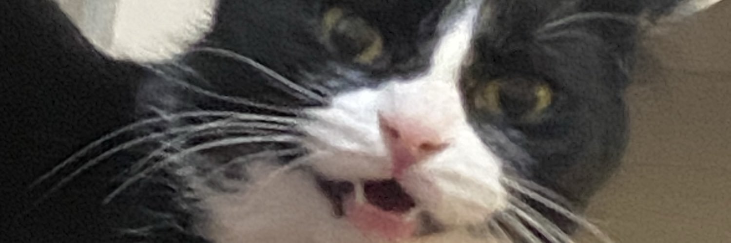 lfernandamf's profile banner image