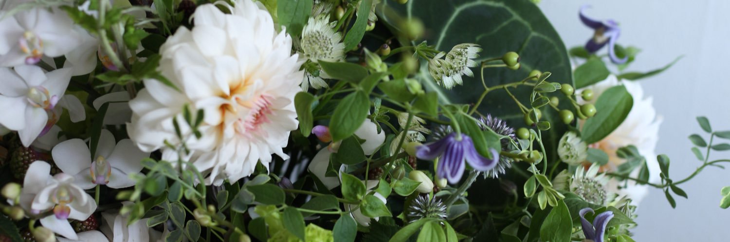 plainflowers_'s profile banner image