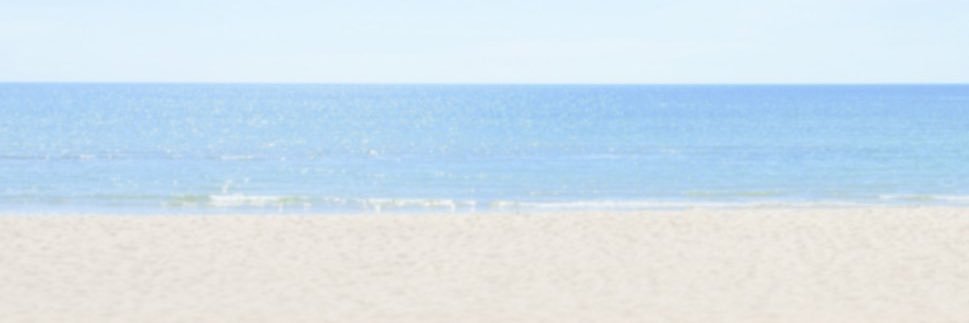 l. banner