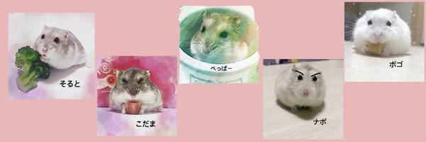 soruto2nd Profile Banner
