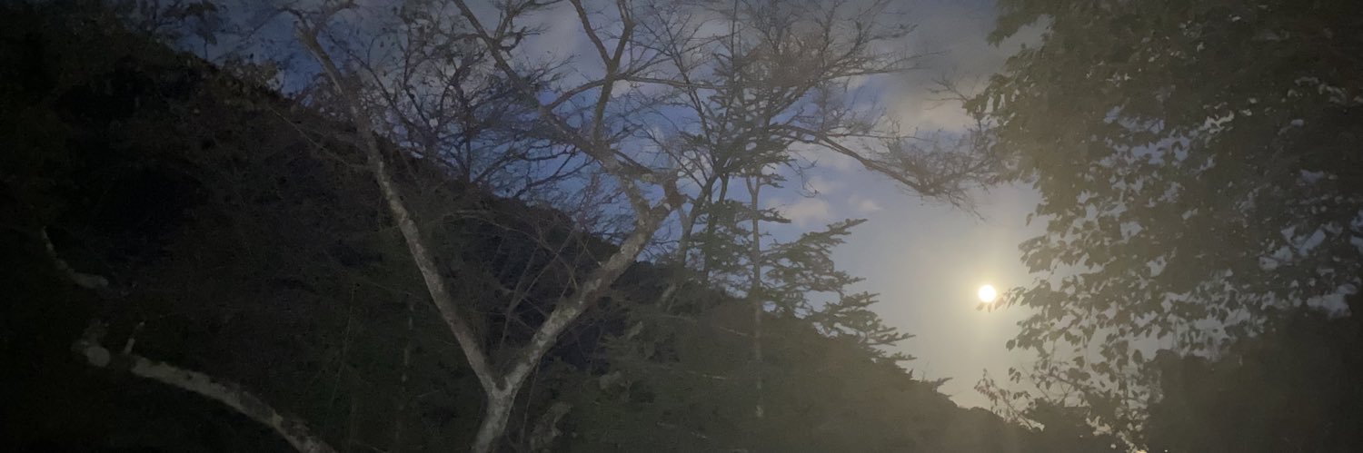 すーさん banner