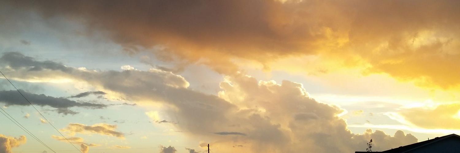DakotaJohnson3's profile banner image