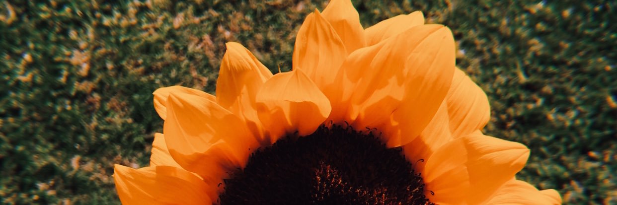 IsblSnts's profile banner image