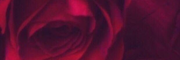 tnekh's profile banner image