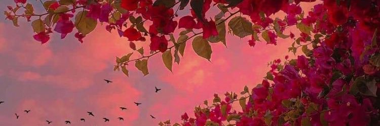 JakaylaK's profile banner image