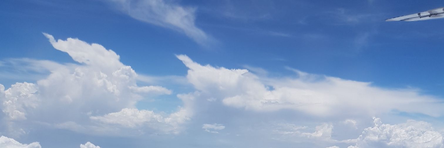 haomisu's profile banner image