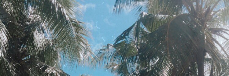 noyeen18's profile banner image
