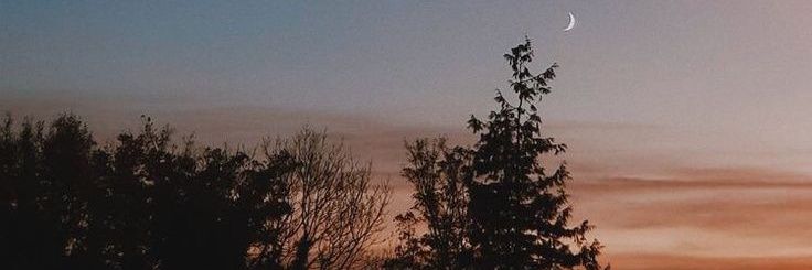nwlnd_'s profile banner image