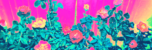 tifi_mad's profile banner image