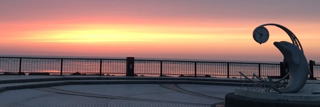 🌰まろん🌰 banner