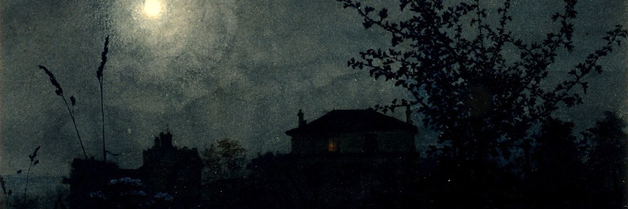 cannibalcolo's profile banner image