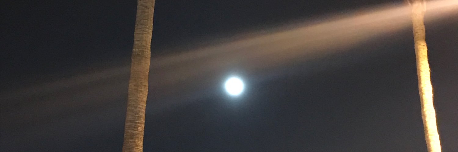 squirrella13's profile banner image