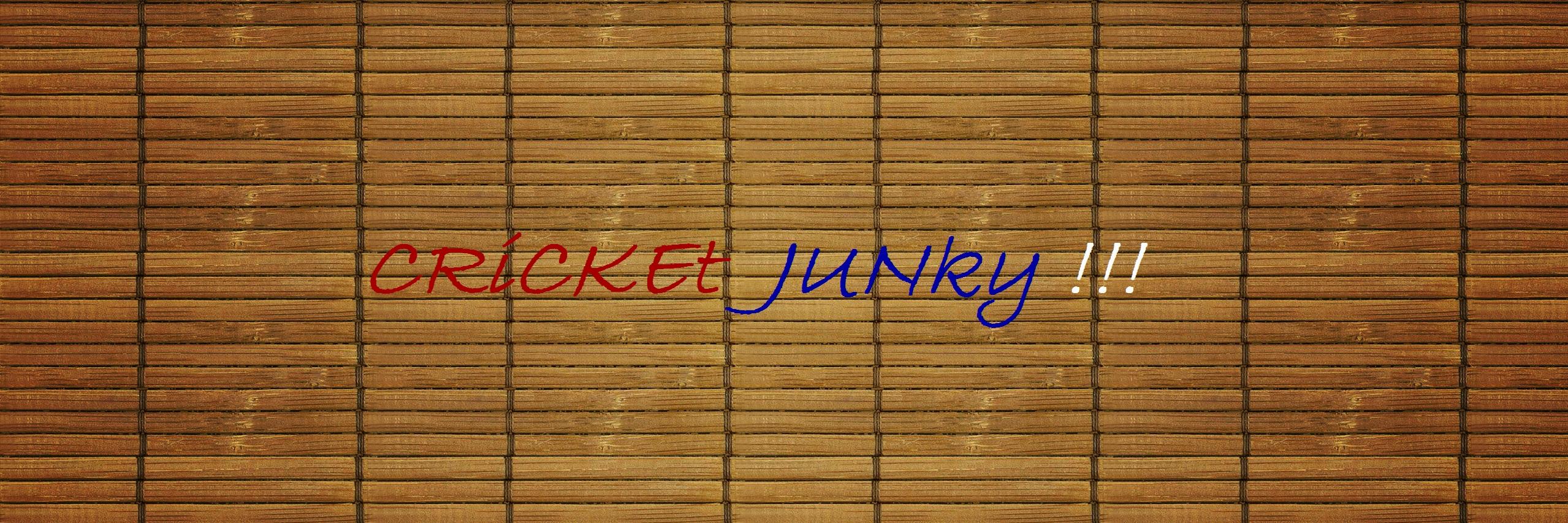 cricketjunky76's profile banner image