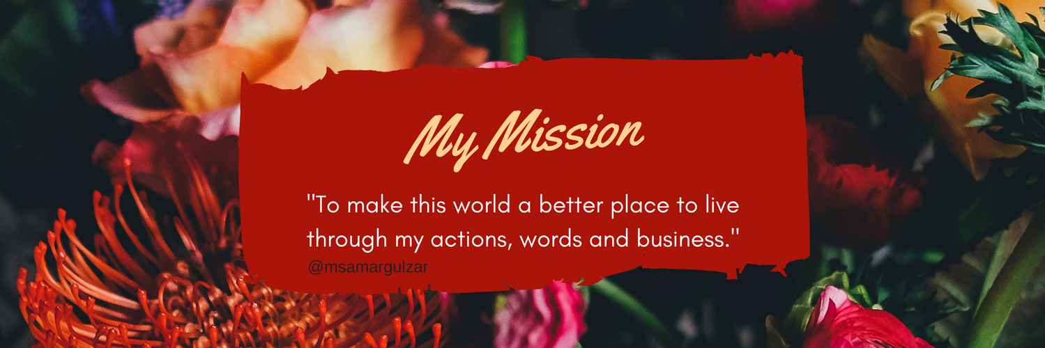 msamargulzar's profile banner image