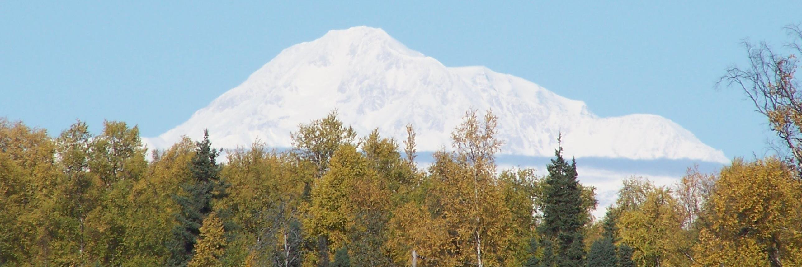 RandallBeaubou1's profile banner image