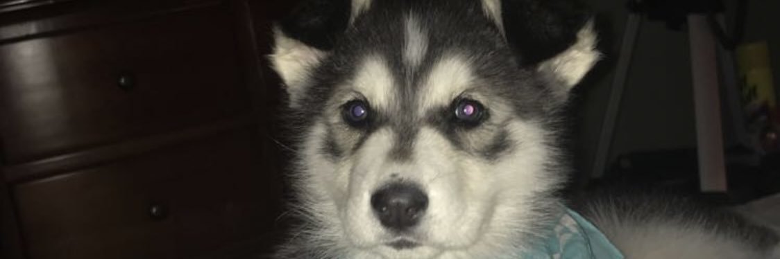 TylerTDEsprit's profile banner image