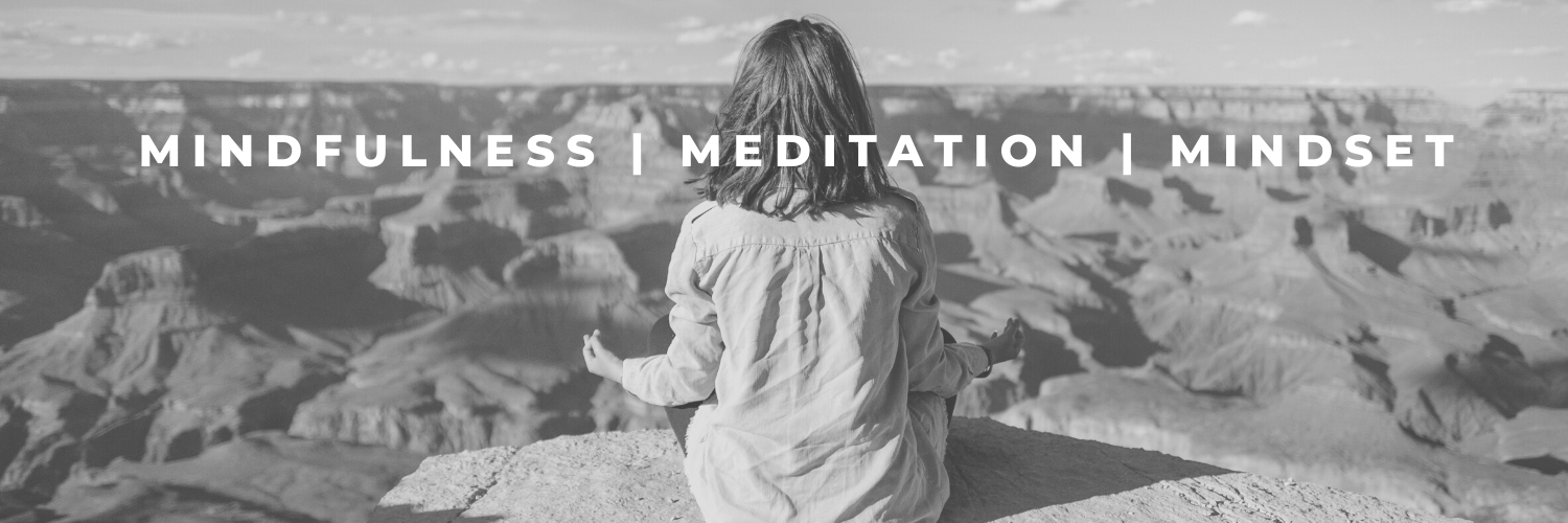 MindfulSteward's profile banner image