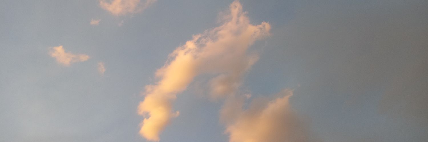 saarmlujan's profile banner image
