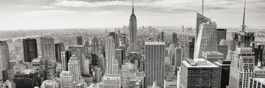 WarrenTheAuthor's profile banner image