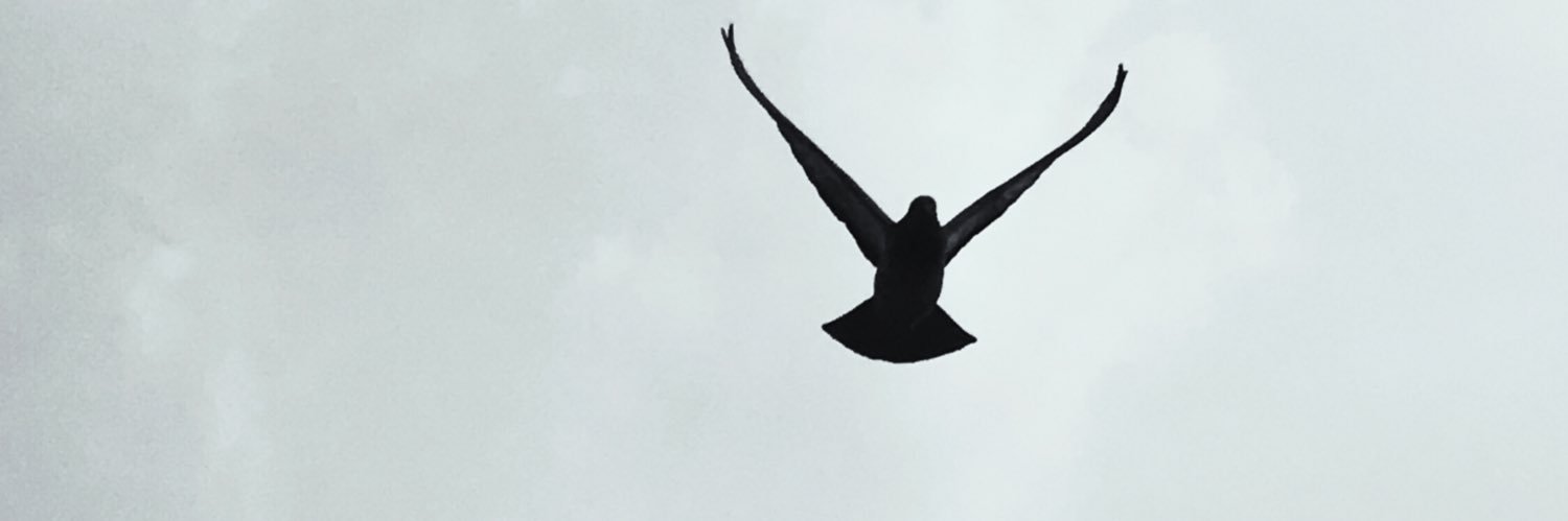 مشهور بن عبدالله banner