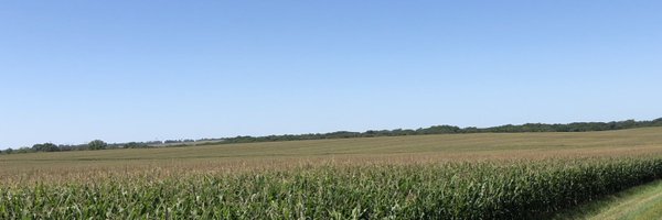 bubeckdm Profile Banner