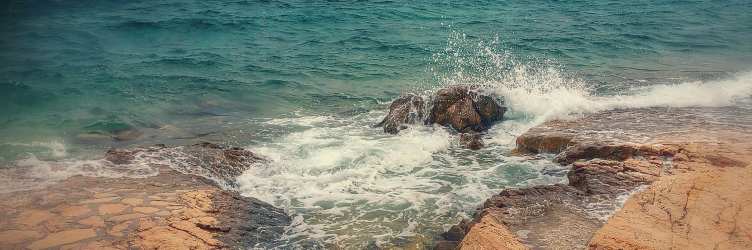 Boris Rasonja banner