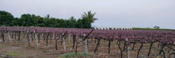 BharatEstudy Profile Banner