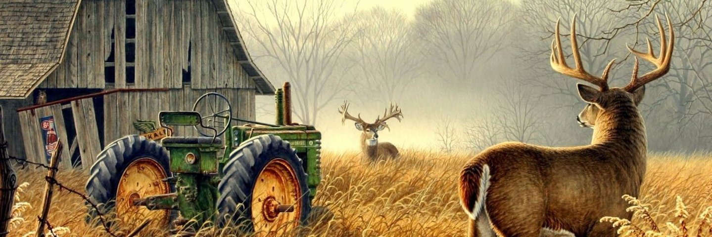 Netram1702's profile banner image