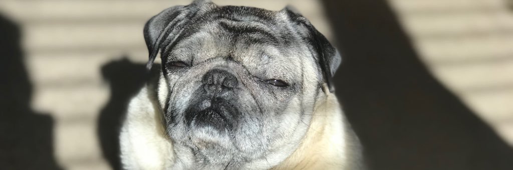 mrtissue's profile banner image