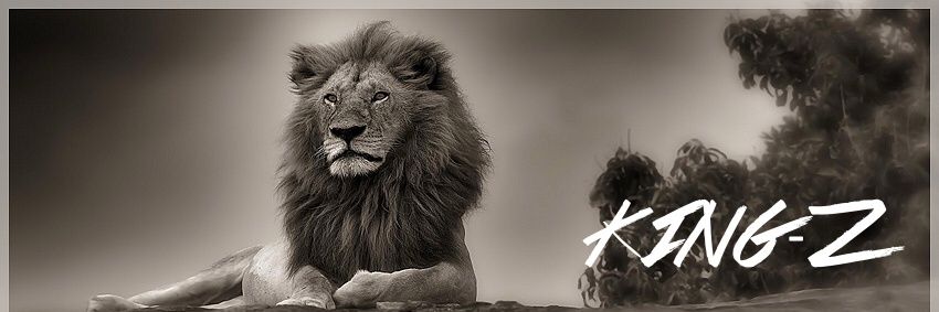 _Zudu's profile banner image