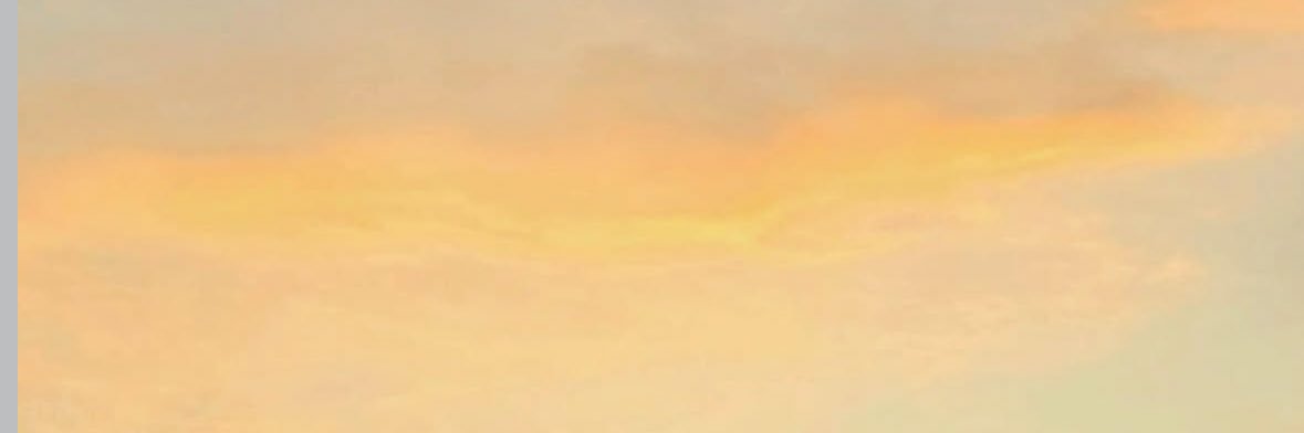 fercoronam_'s profile banner image