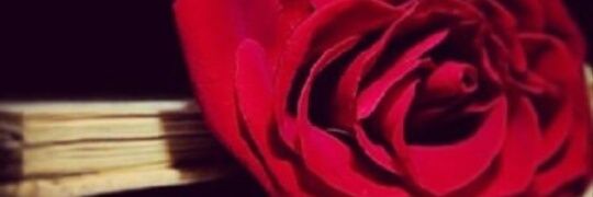 amm12202's profile banner image