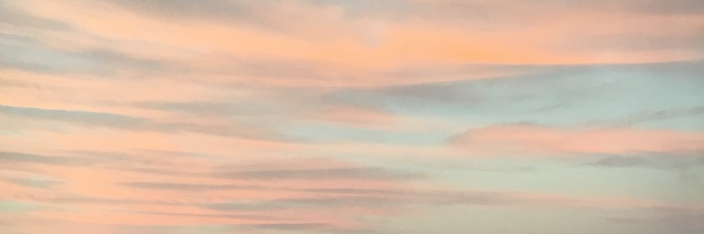 nattylanz's profile banner image