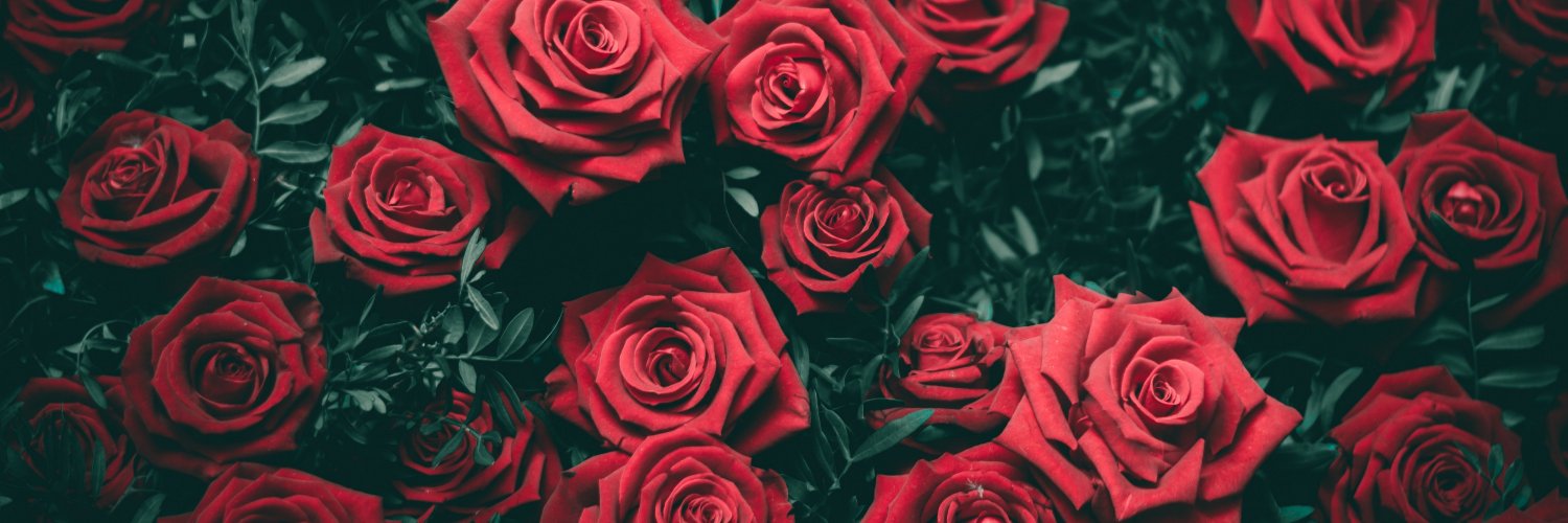 rosess9669's profile banner image