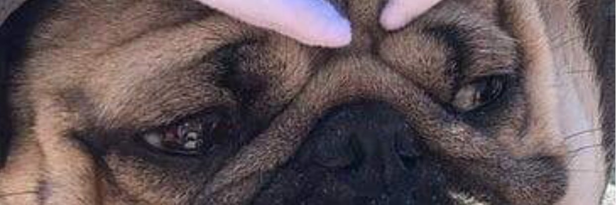 johnslager_13's profile banner image