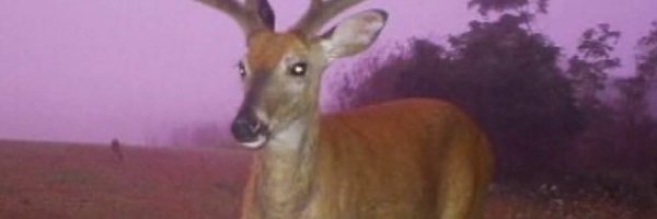 melissapattonnn Profile Banner